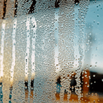 Signs Your Windows Are Costing You Money